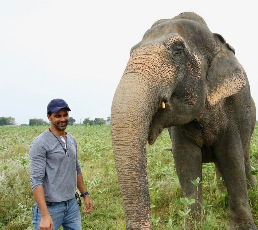 Instead of getting Bappa home, I am raising money for an NGO that works towards the cause of aging and injured elephants: Anuj Sachdeva on Ganesh Chaturthi
