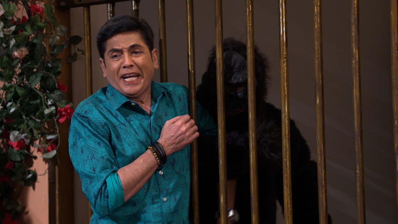 Hoga high voltage drama!