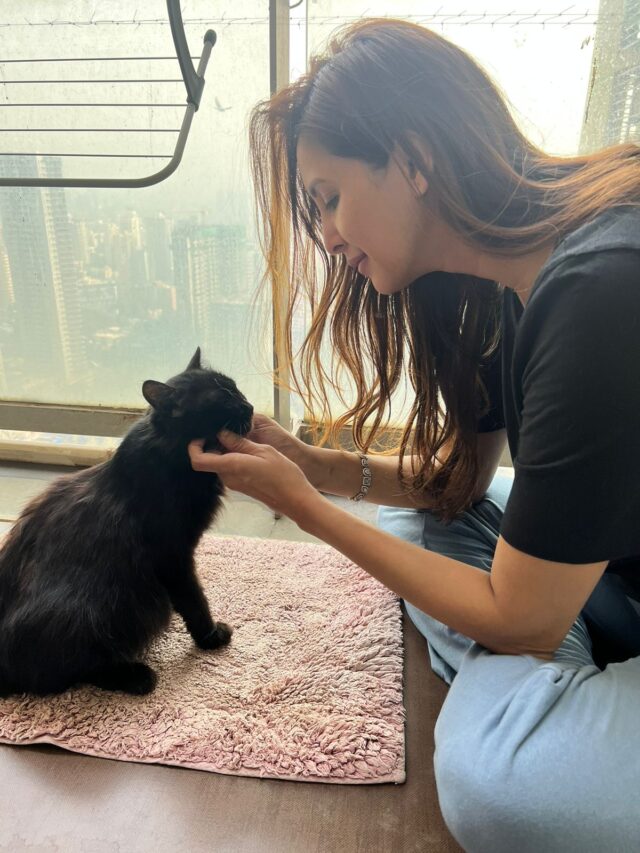 Chahatt Khanna Comes to the aid of a Stray Cat that needed medical attention