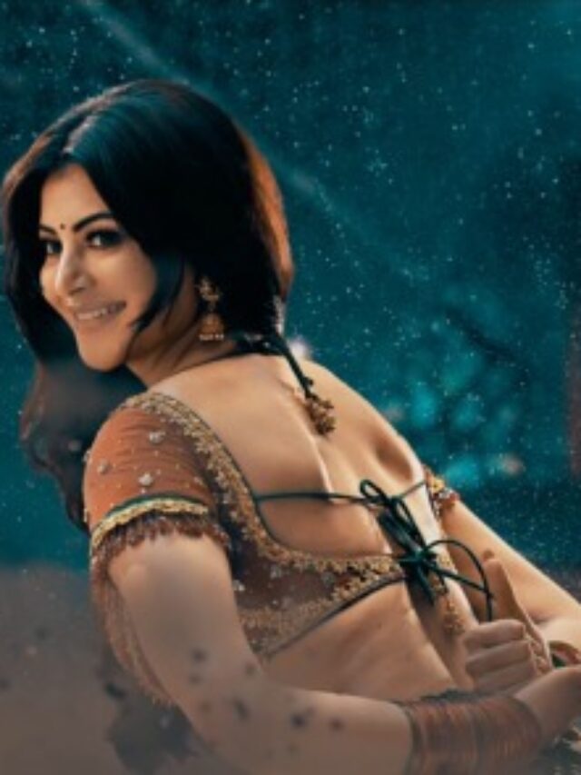 Urvashi Rautela's first title track song Boss Party" from 300 Cr Waltair Veerrayya with Megastar Chiranjeevi, will not stop you from tapping your feet