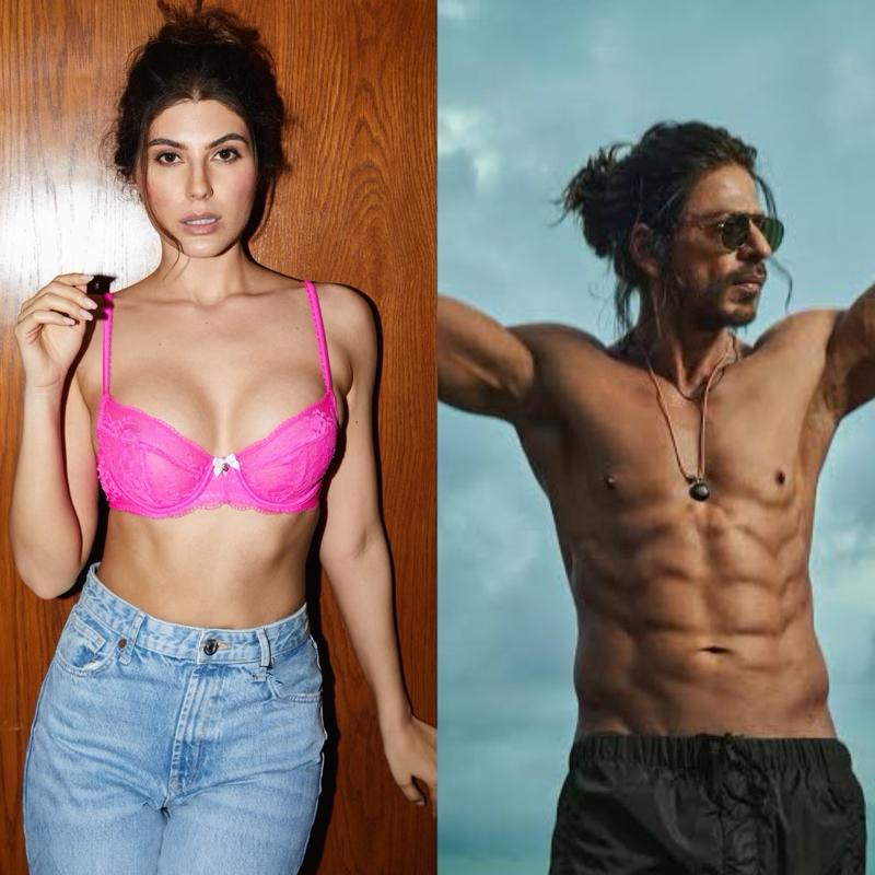 These Throwback pictures of Elnaaz Norouzi With SRK's Poster in her Room Prove He has a true Fan in the actress