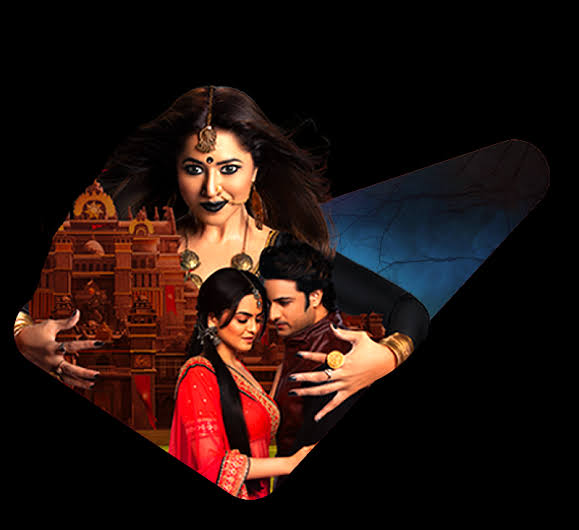 Will Surbhi Jyoti, Adaa Khan, Nia Sharma or Anita Hassanandani play Naagin again for THIS show? Read on