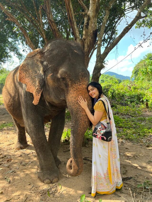 Adah Sharma shines as a terrorist in the teaser of 'The Kerala Story' but controversy brews over its authenticity