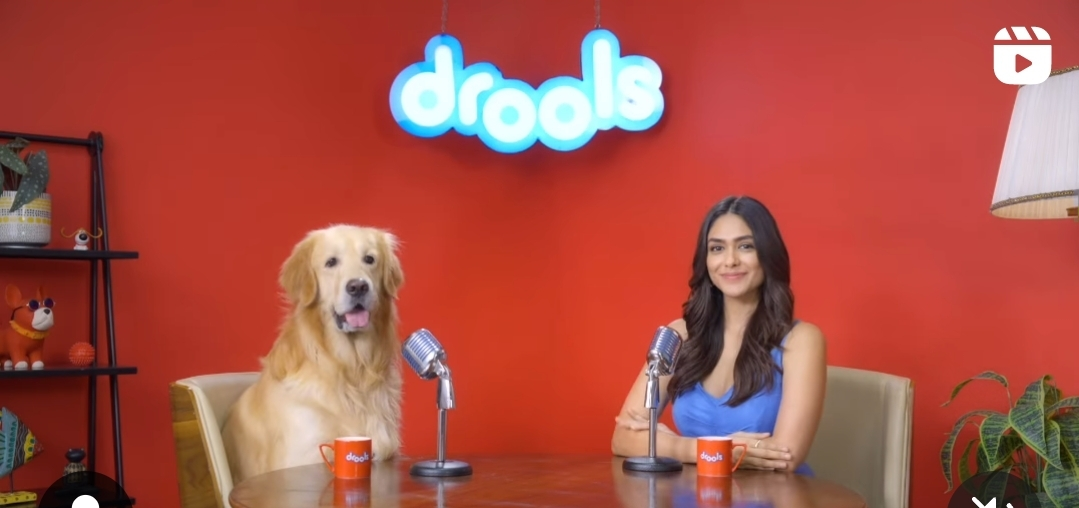 Bollywood Diva Mrunal Thakur Joins Drools PAWCAST for Heartwarming Conversation with Aaryan the Golden Retriever