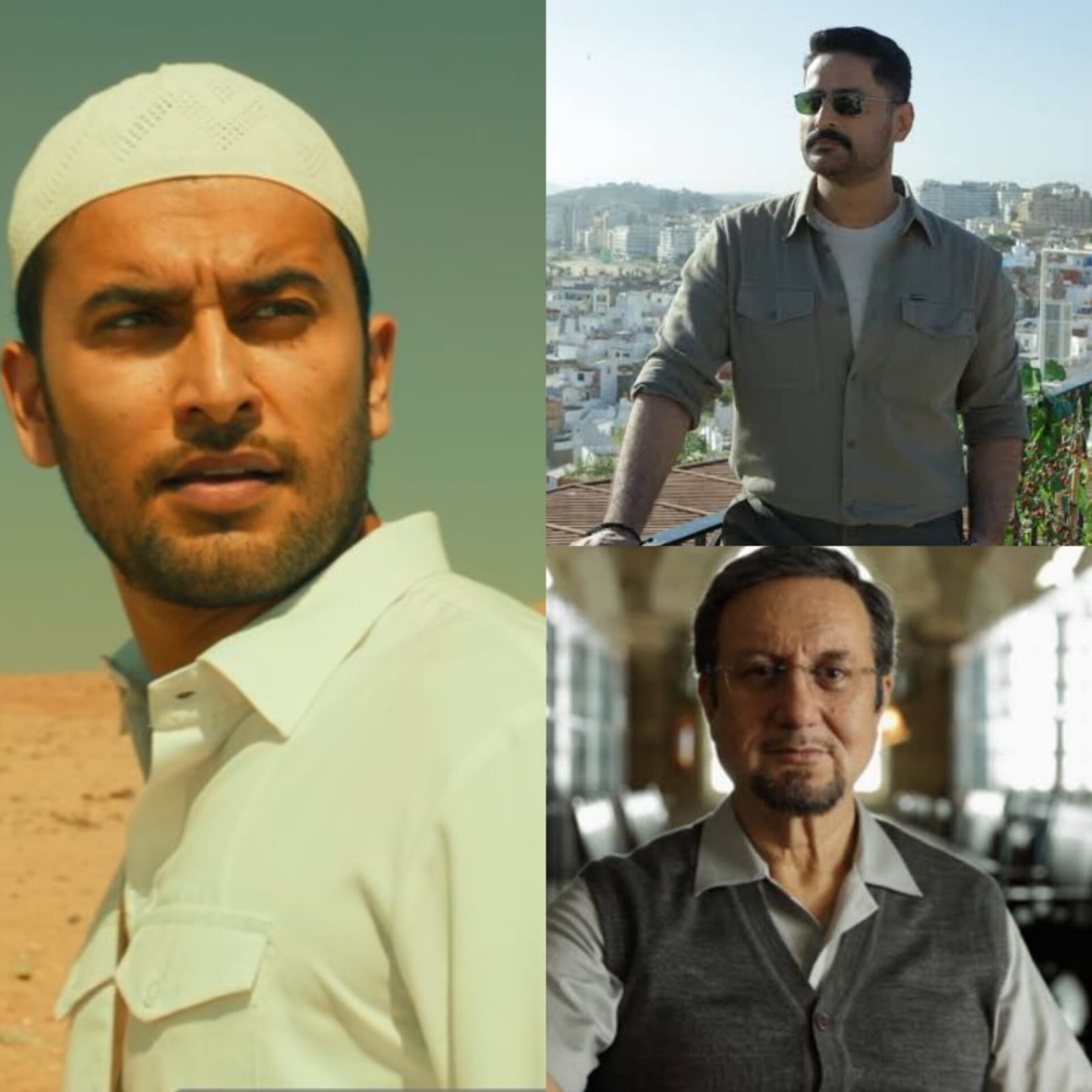 Navneet Malik: Winning Hearts as Mohsin in "The Freelancer"