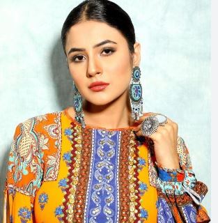 "Shehnaaz Gill Hospitalized: A Tale of Dedication, Health, and the Concern of Fans"