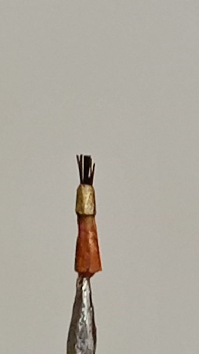 Naseem Sheikh created a world record by making the world's smallest painting brush.