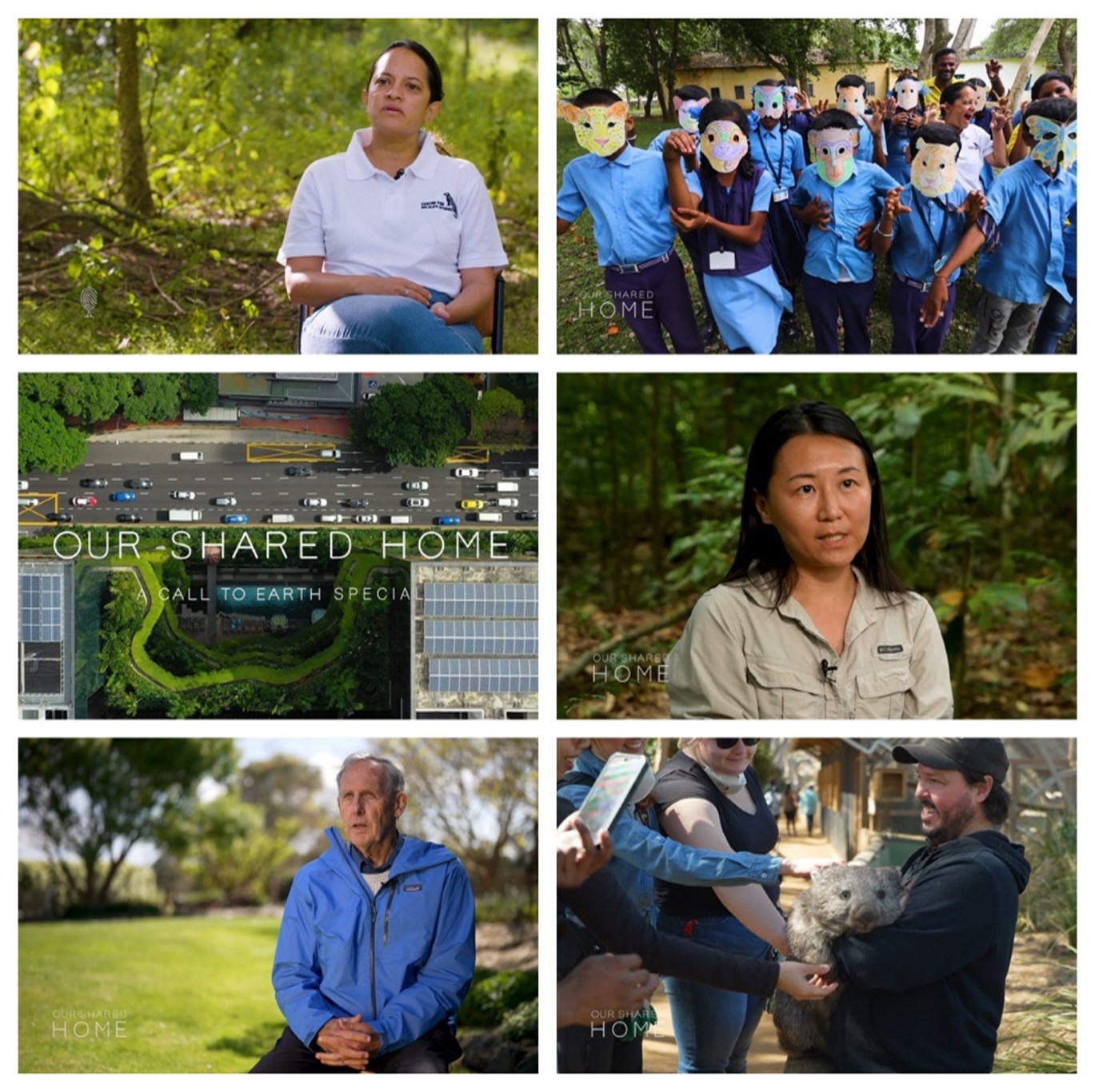 "CNN's Call to Earth Explores the Vital Nexus Between Cities and Wilderness"