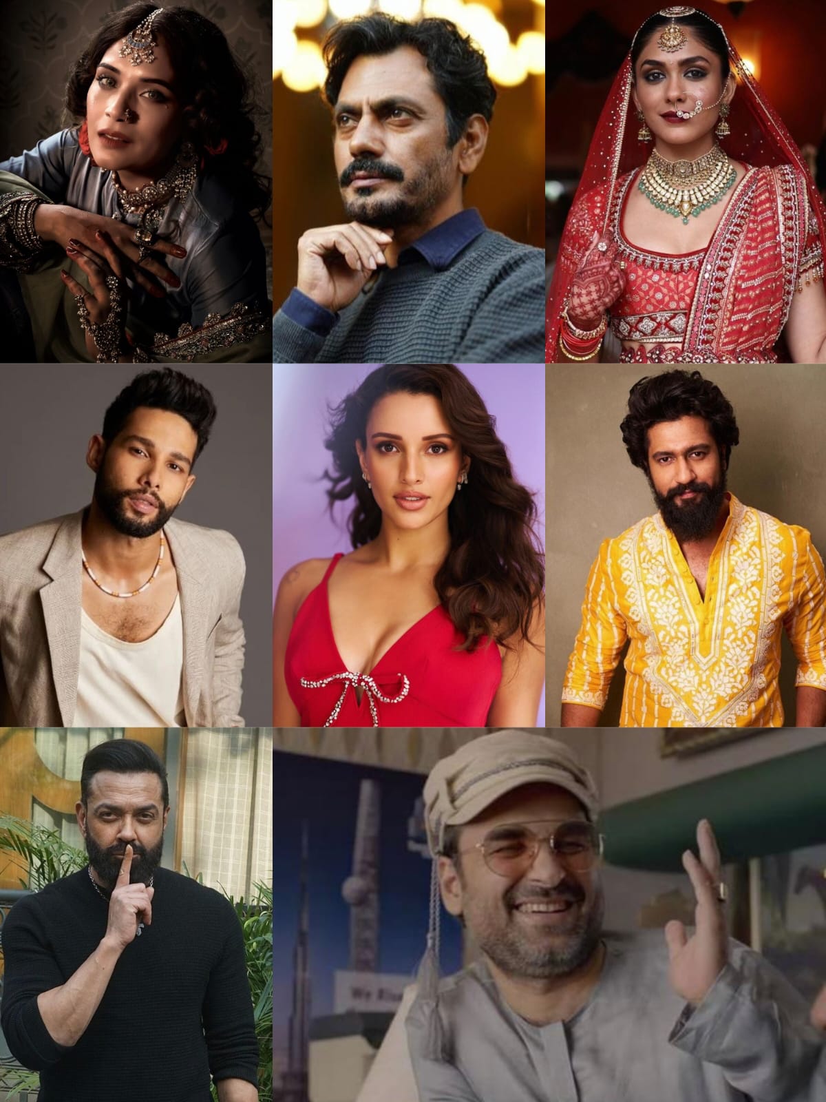 From Richa Chadha, Tripti Dimri to Vicky Kaushal - 8 characters that dominated the screen despite their brief roles