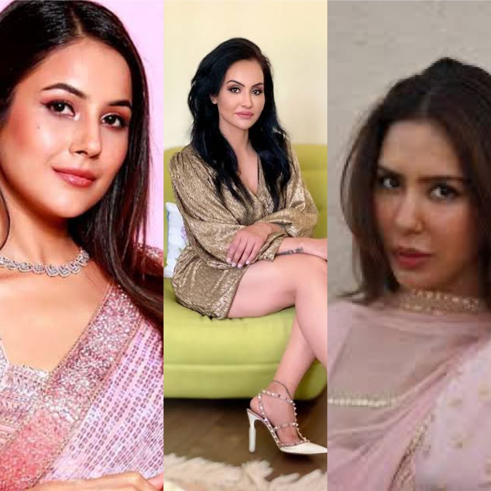 From Sonam Bajwa to Gugni Gill Panaich and Shehnaaz Gill: Three divas who are setting the oomph quotient on fire in the Punjabi entertainment industry
