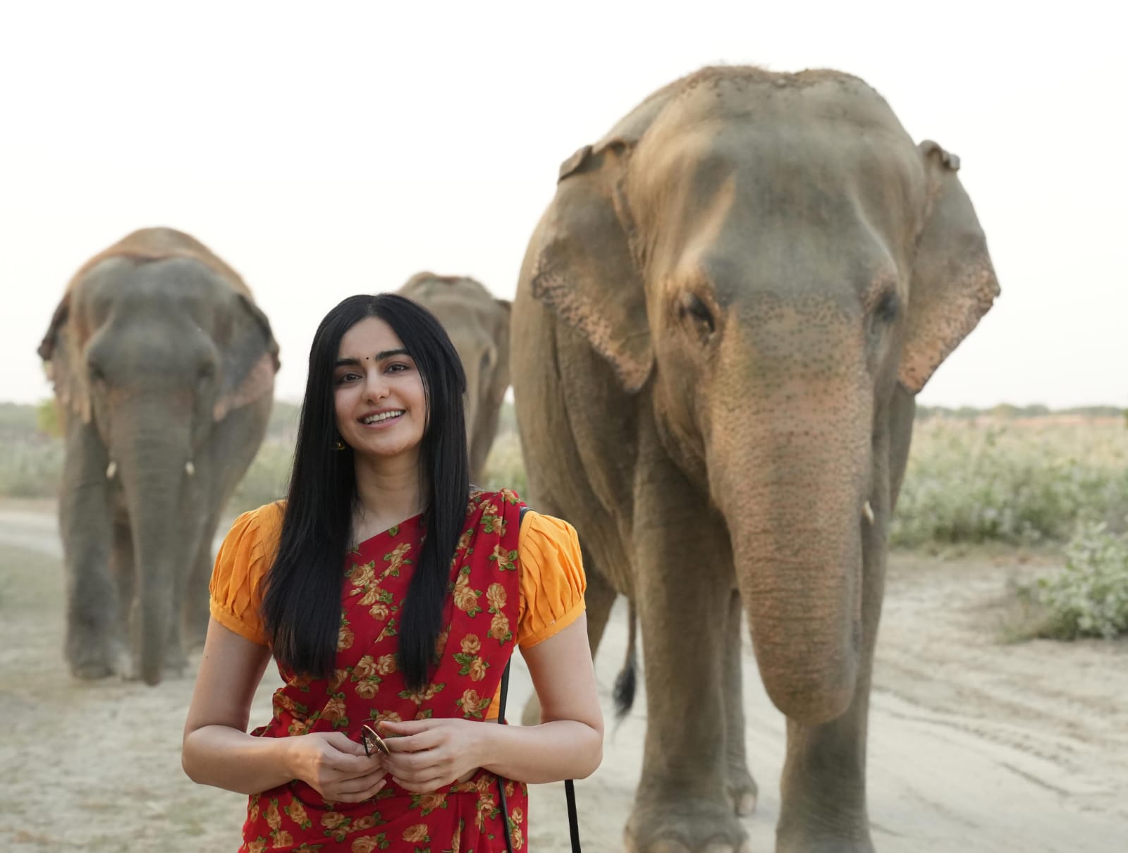 Adah Sharma joins hands with Wildlife SOS for abused elephants