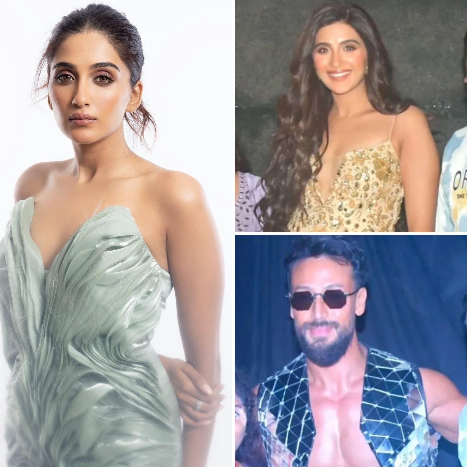 Tiger Shroff and Nimrit Kaur Ahluwalia to work together for the First Time in an Exciting New Project